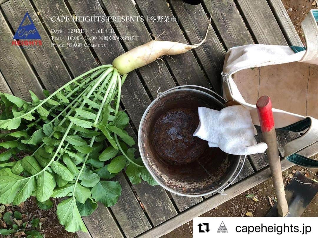 Shogoさんのインスタグラム写真 - (ShogoInstagram)「今週末です👨🏻‍🌾  #Repost @capeheights.jp with @make_repost ・・・ 〝Cape HEIGHTS presents 冬の野菜市〟 12/5(土）6(日）に表参道COMMUNEにて開催します！ どなたでもご入場頂けますので、お時間ございましたら是非お立ち寄り下さい🥬🍅🥕  10:00~16:00 ※当日分無くなり次第終了 東京都港区南青山3-13 @capeheights.jp  … 今年ブランド設立30周年を迎えるライフスタイルブランド【Cape HEIGHTS】が、日本への感謝の気持ちを込め、12月5日、6日の二日間〝CapeHEIGHTS presents冬の野菜市〟を開催します。  モデルとして活躍しながら神奈川県で農園を借り、農業や自然の素晴らしさを発信し続けているSHOGOさん( @shogo_velbed )の呼びかけにより、三重や千葉、埼玉、栃木など様々な地域から旬な野菜が並ぶ予定です。 また自分で野菜を育てられるキットも販売、ワークショップも開催予定です。 当日は表参道の屋外空間COMMUNEで行い、チャイやカレーで注目を集める「URN chai＆tea」や、旬の食材を使ったニューアメリカンスタイル「SHUNNO KITCHEN」にもご協力頂き、野菜市に並ぶ旬の野菜を使用したLunch Boxを販売。 ゆったりとした2日間になる予定です。 @urn_tokyo @shunnokitchen  … ＊ワークショップ「マイクロリーフの植え方育て方」@¥2,000（約40分） 初心者でもお家で育て収穫して食べられるマイクロリーフのワークショップです。（予約制） https://select-type.com/rsv/?id=xeos6OlQV98&c_id=134097  詳しくは👉🏻 @capeheights.jp   ... #capeheights #ケープハイツ #capeheights野菜市 #冬の野菜市」12月2日 16時07分 - shogo_velbed