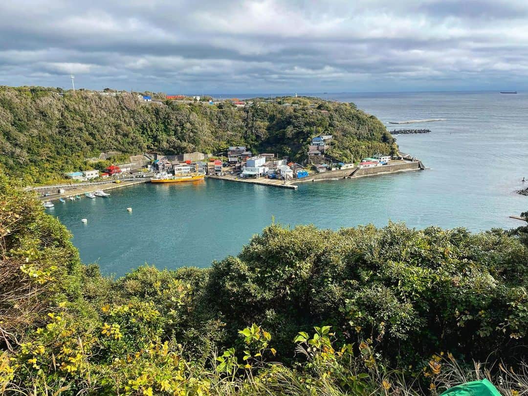 濱田将充のインスタグラム：「伊豆大島 波浮港 火口湖からできた港 あんこ椿は恋の花 カキハラ磯火山豆石 裏砂漠 泉津の切通し 天然記念物大島桜サクラッカブ  霧の裏砂漠は完全に異世界だった。」