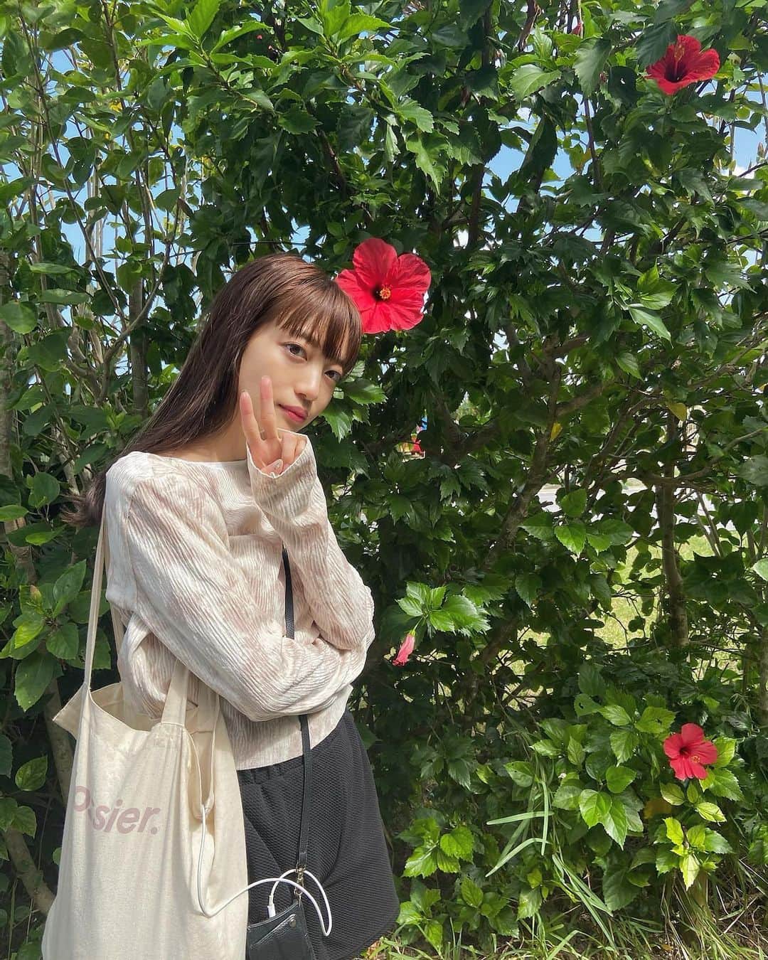 佐藤里緒菜のインスタグラム：「_ 今日東京寒すぎる… から南の島の写真あげる🌺 ハイビスカスロードと見せかせて全然咲いてない道」