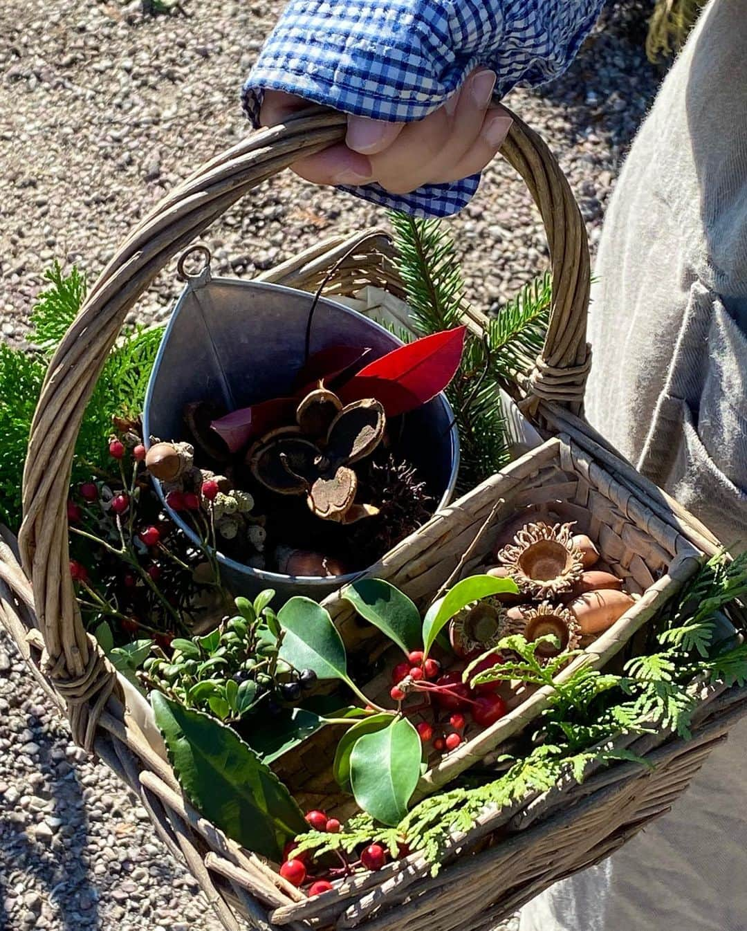 生活の木 メディカルハーブガーデン薬香草園【公式】さんのインスタグラム写真 - (生活の木 メディカルハーブガーデン薬香草園【公式】Instagram)「【12月のガーデン便り】﻿ ﻿ 12月に入り街中に﻿ クリスマスデコレーションが﻿ 輝き始めましたね✨🎄✨﻿ 私も美杉台マルシェでドアリースを買って﻿ 自宅に飾り付けをしました☺️﻿ ﻿ ﻿ 今回は、リースやスワッグなどで大活躍する﻿ ツヤツヤで真っ赤な実🍒﻿ 引き締まる印象の黒っぽい実🫐﻿ グリーンがキレイな葉っぱたち🌿を﻿ ガーデンから収穫して集めてみました🤗﻿ ﻿ 自然のクリスマスカラーを﻿ どうぞご覧ください🎄﻿ ﻿ ﻿ ﻿ ﻿ #生活の木 #薬香草園﻿ #メディカルハーブ﻿ #メディカルハーブガーデン﻿ #ハーブハウス﻿ #メディカルハーブハウス﻿ #ハーブ #ハーブ🌿 #ハーブガーデン﻿ #埼玉 #飯能 ﻿ #実の収穫 ﻿ #ノイバラ #ローズヒップ﻿ #ズミ﻿ #マンリョウ﻿ #クロガネモチ﻿ #マートル﻿ #マメツゲ﻿ #ハニーサックル﻿ #コノテガシワ﻿ #モミの木﻿ #ハーブリース #フレッシュハーブリース﻿ #クリスマス﻿ ﻿ ﻿ ﻿ #花のある暮らし﻿ #ハーブのある暮らし﻿ #植物のある暮らし﻿ #ウェルネス #ウェルビーイング﻿」12月2日 17時05分 - treeoflife_garden