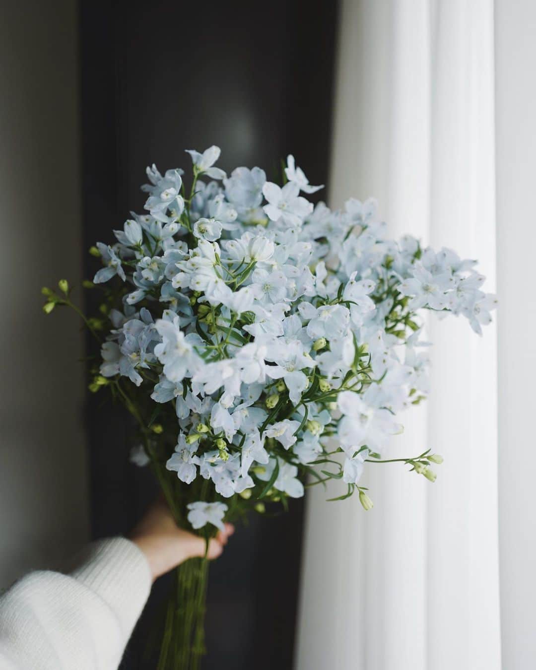 JF flower Shopのインスタグラム