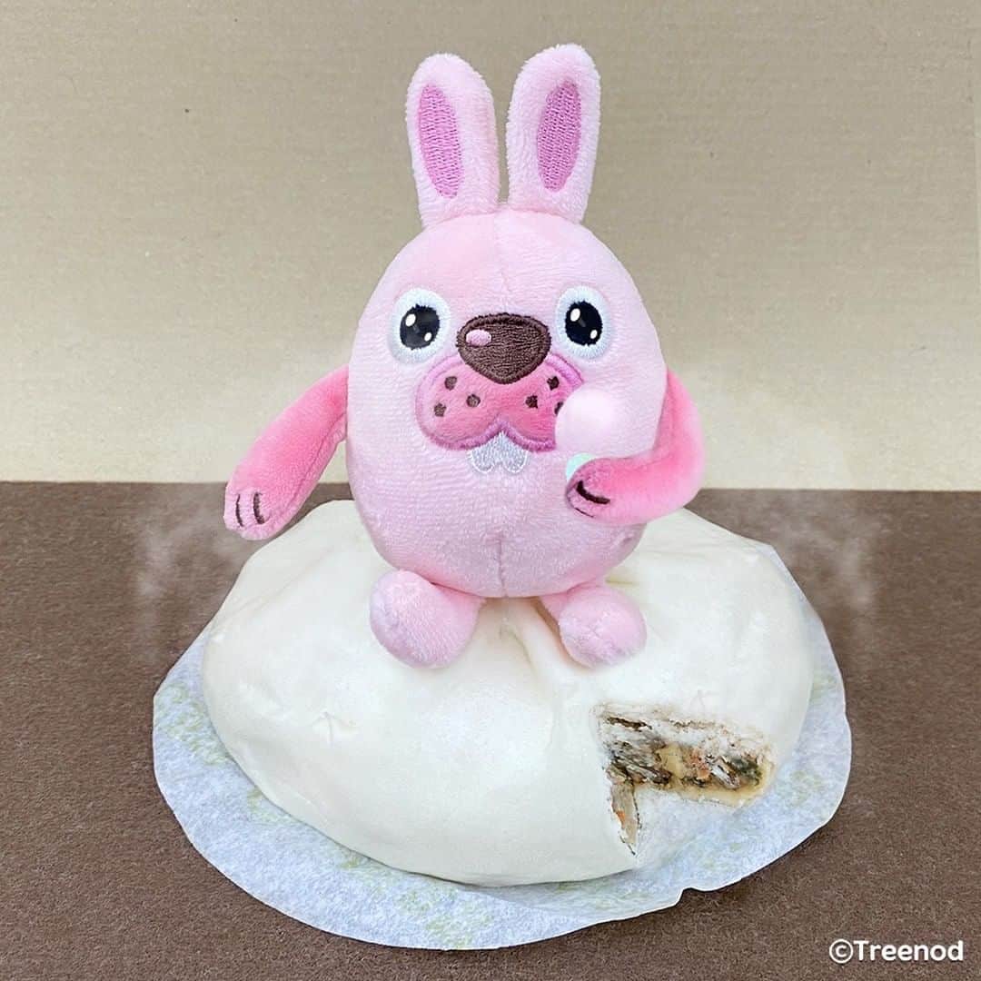 ポコタのインスタグラム