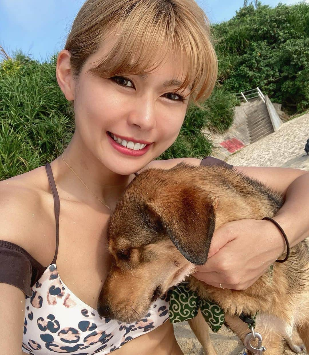 ちほのインスタグラム：「沖縄で一緒に住んでたチロル🐕」