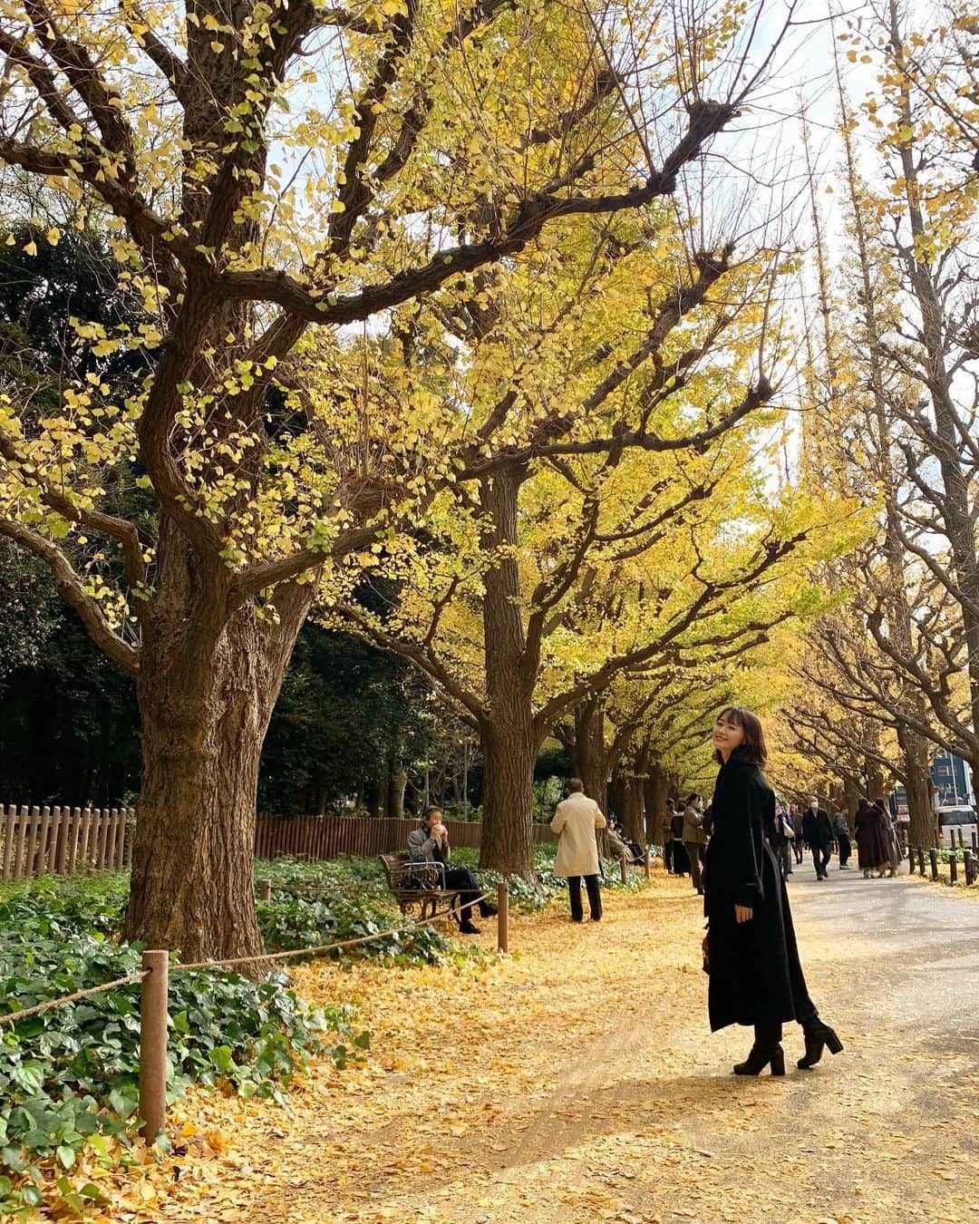 奥平真衣のインスタグラム：「. 毎年行っている外苑前のイチョウ並木 今年も行けてよかった！✨」