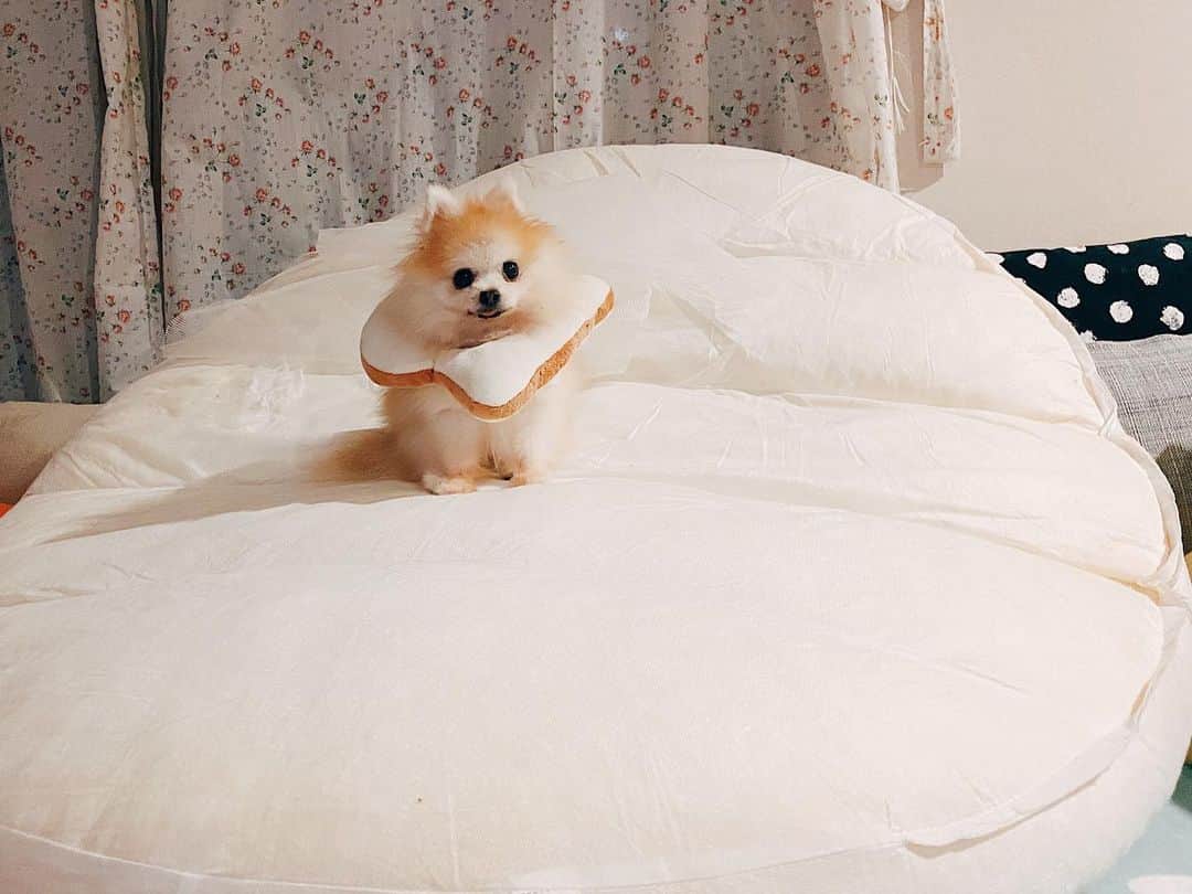 r_oseのインスタグラム：「Hello December 2020☁️🍞〰️」