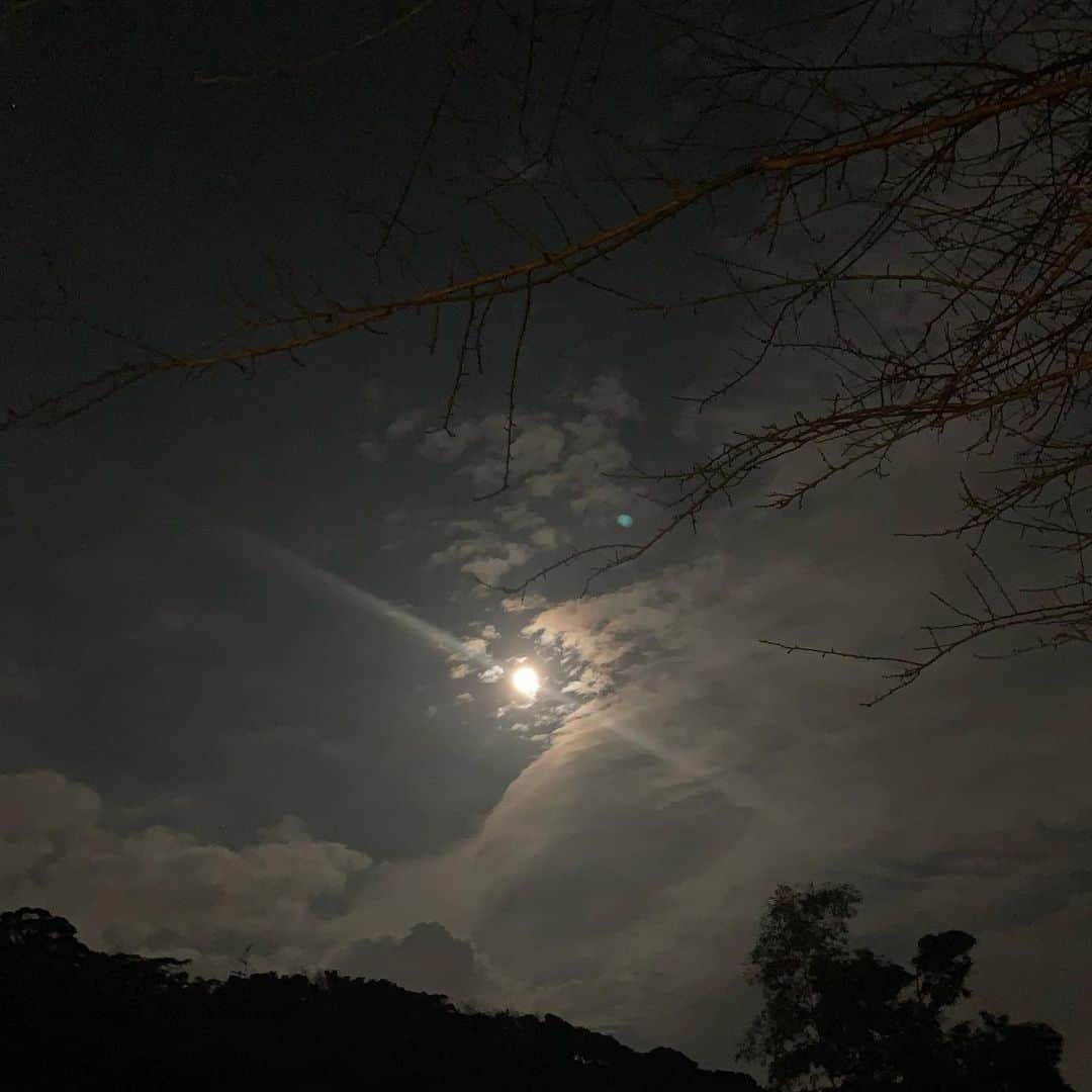 クリス智子さんのインスタグラム写真 - (クリス智子Instagram)「月跨ぎ。 11月から12月のそれが 一番好きかもしれない。 今年は満月の光と、静かに。  最近は歩いているだけで、 好きな色世界で、 別世界にふわっと行ってばかりだ。」12月2日 18時32分 - chris_tomoko