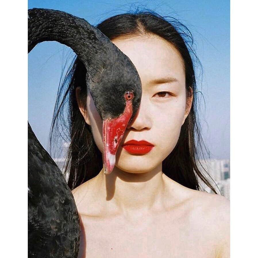 のインスタグラム：「#renhang 👄」