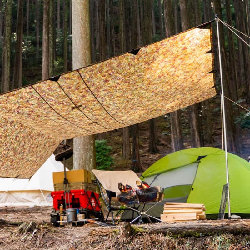 キャンプ情報サイト［ランタン］さんのインスタグラム写真 - (キャンプ情報サイト［ランタン］Instagram)「CAMP SMILE STYLE ／ DDハンモックのタープで作るプライベート空間 ＼ いろんなキャンパーのキャンプスタイルを現地取材と一般キャンパーからの投稿で数多く掲載してます。 . . 詳しくは @lantern.camp webサイトをご覧ください . . #camp #camping #outdoor #travel #trip #lantern_smile #nature #キャンプ #キャンプ用品 #キャンプギア #アウトドア #テント #自然 #旅行 #キャンプ初心者  #キャンプ好きな人と繋がりたい #camper #外遊び #LANTERN #キャンプレイアウト #秋キャンプ #かぶとの森テラス #ソロキャンプ #ソロキャン #DDタープ #DDハンモック #グリップスワニー #焚き火 #ブッシュクラフト #冬キャンプ」12月2日 18時36分 - lantern.camp