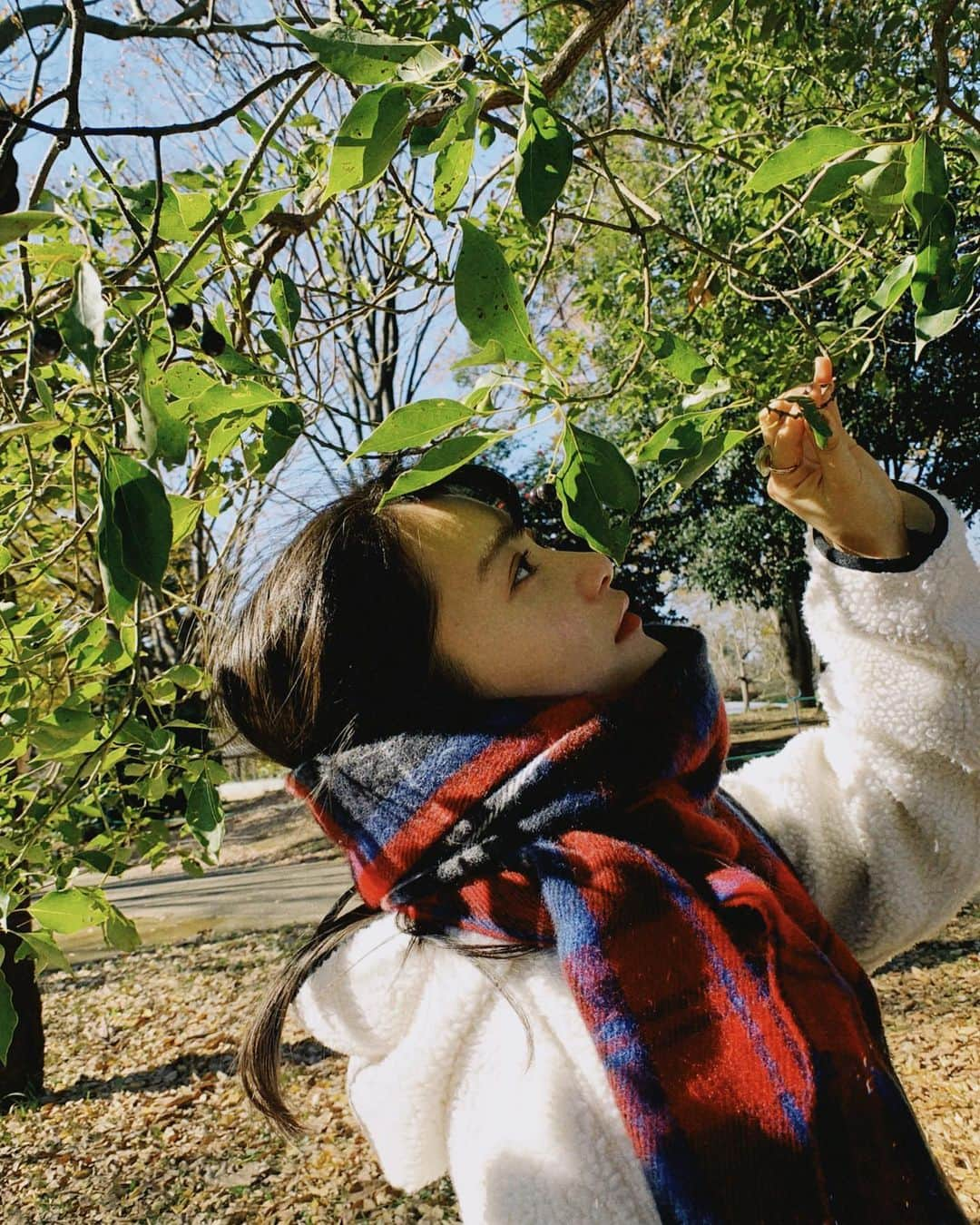 福田愛依さんのインスタグラム写真 - (福田愛依Instagram)「秋から冬になりましたね〜☺︎☺︎  1on1zoomイベント 締め切りが明日までとなりました🥺‼  昔から応援してくださっている方、最近知ってくださった方、皆さん大歓迎です🥰  質問はお答えできる範囲でなんでも一つ受け付けます☺︎  開催日程🌻12月12日(土)13:00〜  ■チケット種類&価格 A ：1分間のお話タイム　1,000円 B ：3分間のお話タイム　3,000円（特典①付き） C ：5分間のお話タイム　5,000円（特典②付き）  特典①：ランダムサイン入り画像A/B/C （お気に入りの3枚がランダムで届きます！！  特典②：動画メッセージ （動画メッセージは全て共通となっております！  お待ちしてます☺︎❤︎ #しーくれっとaroom」12月2日 18時40分 - meii_cheer