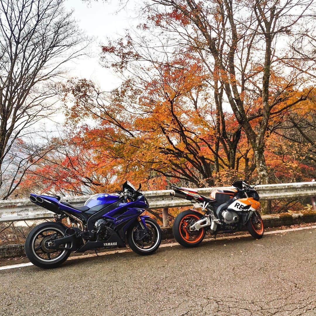 ISSYさんのインスタグラム写真 - (ISSYInstagram)「今年と去年。 #honda  #cbr1000rr  #yamaha  #r1  #kawasaki  #10r」12月2日 19時00分 - unione_issy