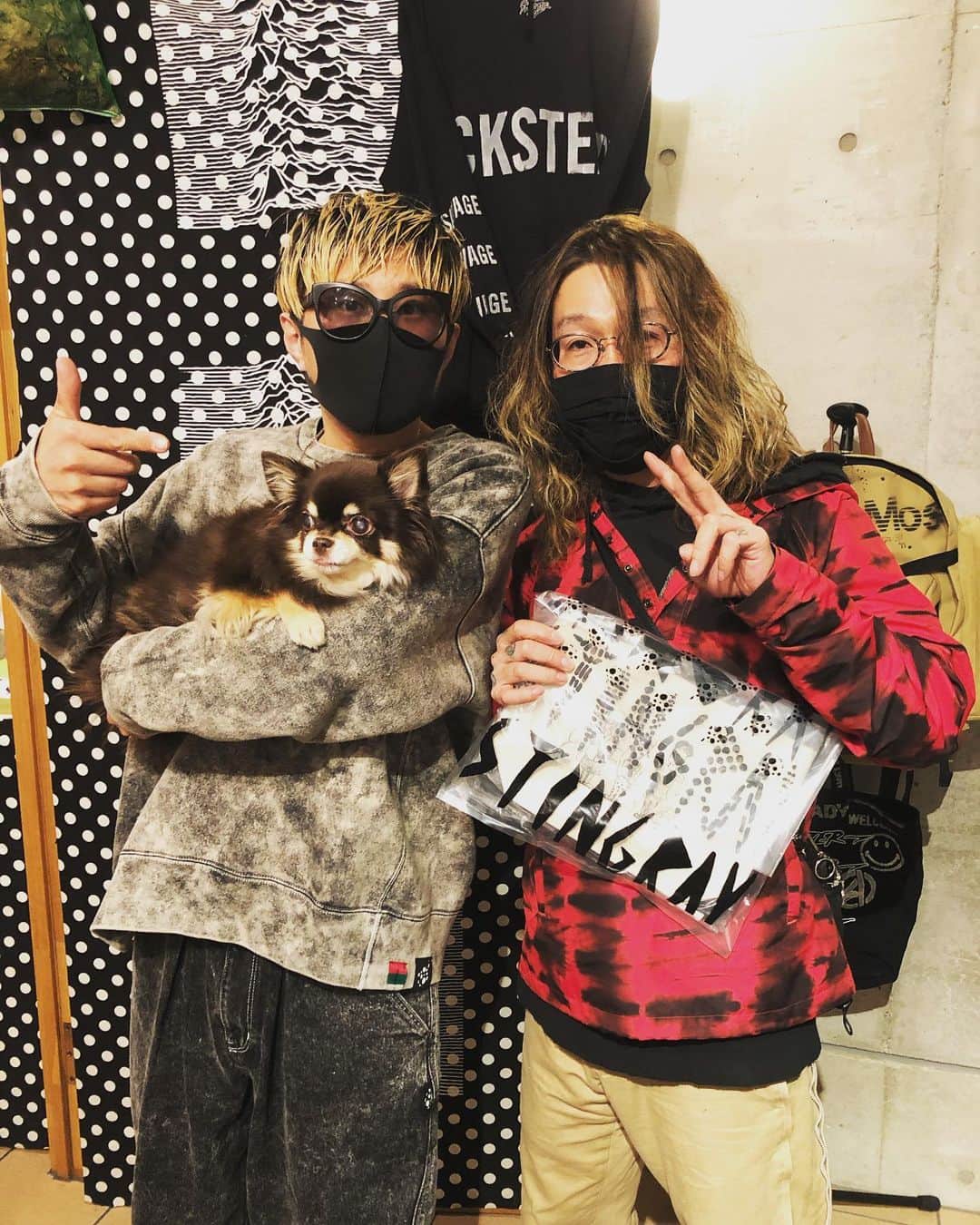 橋本塁さんのインスタグラム写真 - (橋本塁Instagram)「STINGRAY名古屋にモダンパイレーツ&MASKSのNALさんが愛犬のさっちゃんと来てくれました！癒されました♩ありがとうございました！ #modernpirates #masks」12月2日 19時09分 - ruihashimoto
