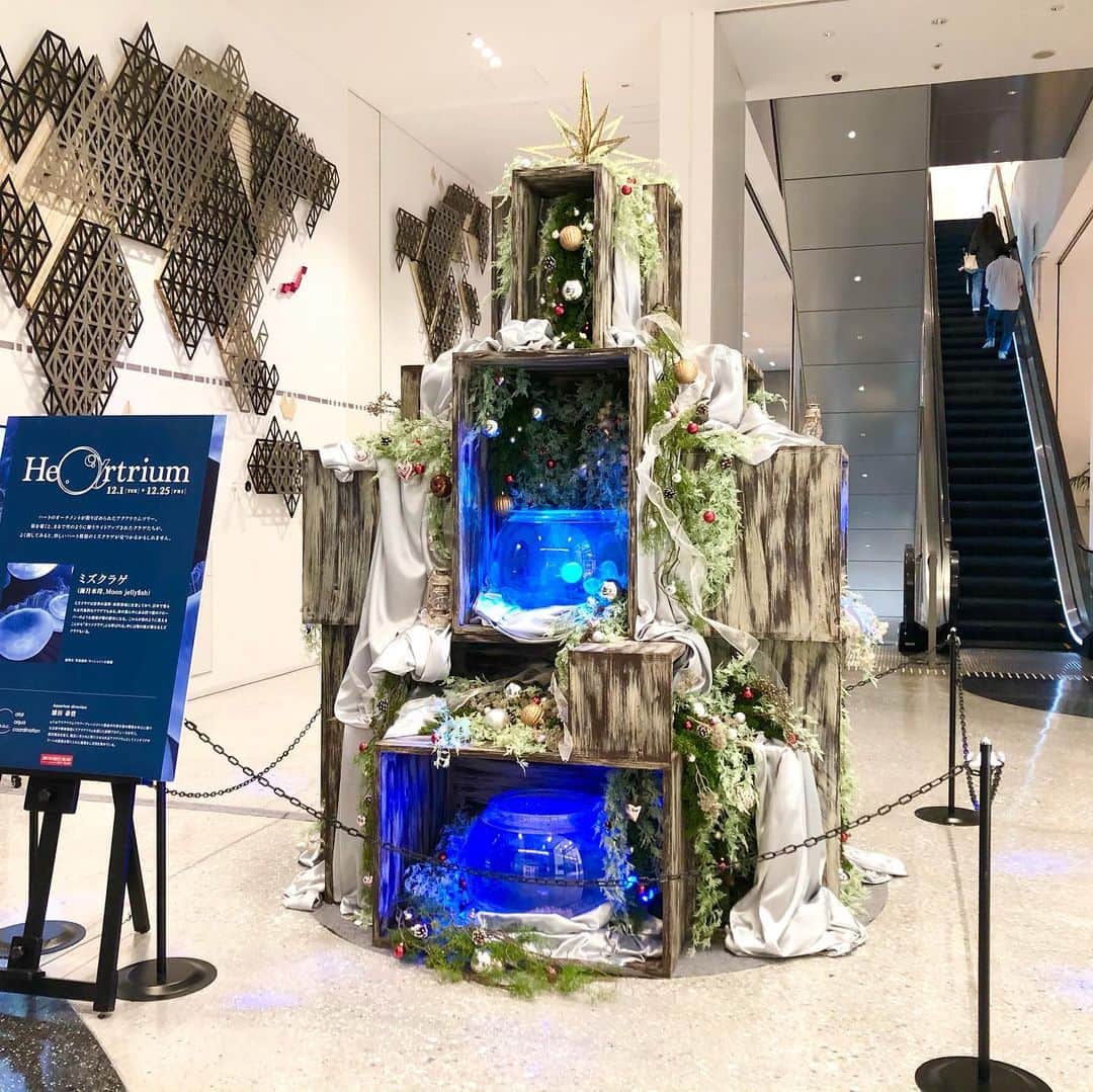 大阪・東京のアクアリウムならa.a.c.のインスタグラム