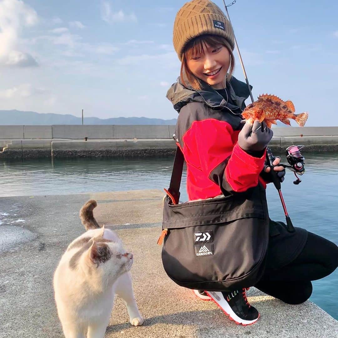 のインスタグラム：「ダイワとグレゴリーのコラボバッグが最高すぎる😆見た目以上に物が沢山入るけん、ルアーケースと一緒に飲み物やお財布も収納できるよ😍キャンプや釣りにオススメだにゃ〜🐈💕  #daiwa #Gregory #bag #fishing #lurefishing #cat #kyushu #釣り #グレゴリー #ネコ #猫 #ライトゲーム」