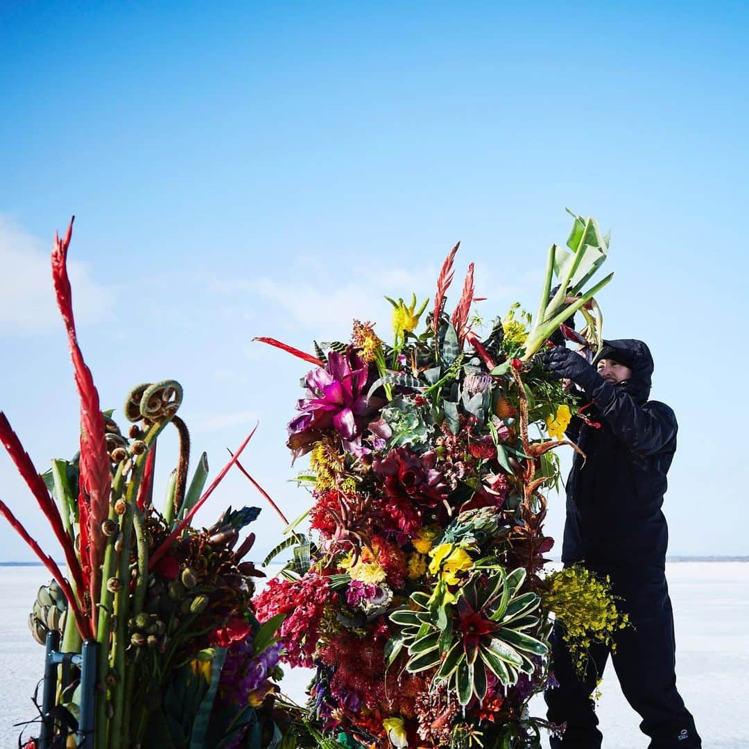 東信さんのインスタグラム写真 - (東信Instagram)「Frozen Flowers (2018)  #azumamakoto #shiinokishunsuke #amkk #amkkproject #botanicalsculpture #todowara #hokkaido #theendoftheworld #東信 #東信花樹研究所」12月2日 19時14分 - azumamakoto