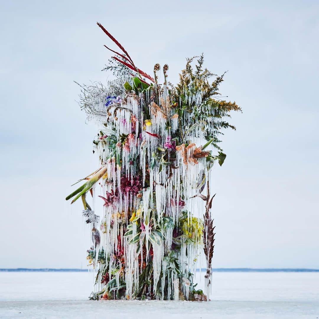 東信のインスタグラム：「Frozen Flowers (2018)  #azumamakoto #shiinokishunsuke #amkk #amkkproject #botanicalsculpture #todowara #hokkaido #theendoftheworld #東信 #東信花樹研究所」
