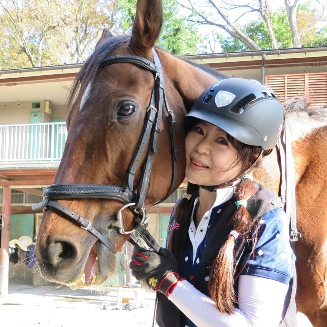 宇月田麻裕さんのインスタグラム写真 - (宇月田麻裕Instagram)「11/19乗馬日記「まただねー」フレディー　　乗馬日記いきまーす。2週間経ってしまいました💦　最近、乗る馬は毎回のように違いますが、フレディー率が高まっているかも。騎乗した日に、画像と動画載せています。 さて、レッスンは、「フレディー」＆Ｔ先生。　名前の由来は、フレディマーキュリーから。フレディーは、3度目の騎乗です。 どっしりとしていて、大きい、頼れる男的な感じ。　新調した鞭120センチ。　鞭ほぼ使わなかったのですが、120センチあると良いかもしれません。 3センチの拍車は使わず。 先生いわく、馬は、拍車の長さじゃなく、3センチの拍車は通常使わないですよー　とのこと。まずは、拍車に頼らないこと、それが大事ですと。 なので、買ったのですが、永久保存にします。やはり、長いの怖いし、今のままでいいかも。 フレちゃん、とっても元気良く動いてくれて、良い速歩ができました。 フレ「ごっきげーん(^^♪」 ただ、私のバランスが悪く、よく躓くので、前のめりになり、何度も頸にしがみつく。 先生「馬が躓こうが、何しようが、自分の体幹で、まっすぐになっていれば、そのままの姿勢を保てますよ」 確かにその通り。 躓くと、手綱ごと持っていかれるので、自分が落ちそうになるのですよね。 駈歩出ました。一周するかしないか。 フレは、もしかしたら、豪快な駈歩かもしれません。 駈歩、今年はしていないので、忘れていますが……。 これ、私的に、けっこう危うい。 まったく余裕なく、いつその反動と動きについていけなくなるか。そんな駈歩でした。 やっばり、体幹がないんですよね、自分のバランスがぶれまくっているし。 駈歩から速歩に落ちる時、一度、鐙がずれて、まじヤバかったです。それこそ、落馬寸前。 駈歩の最中にも、いつ自分のバランスが崩れるかとの戦い。 少しでも崩れたらアウト！　 駈歩中の恐怖。しかし、その恐怖と裏腹に爽快感もあり、表裏一体。今さらながらですが、駈歩って、今さらながらですが、馬を信じないと出来ないなーと。 ということで、豪快。たぶん人から見たら、普通の駈歩ですが。 少し、しただけですが、久しぶりの駈歩したので、物凄く体が痛い。全身、筋肉痛を通り越して、皮膚を少し押しただけでもあちこち痛い。それだけ運動したってことですかね。 いやー、フレディー。　頼れる男です！ 課題は、毎度、手前を変えるのと巻乗り。　ほんと乗り方忘れてしまっているかも。初心からやります。 「フレー、頑張ったね」 フレ「気持ちいい♪」 競走馬名　ライズアゲイン　です。」12月2日 19時21分 - mahiro_utsukita