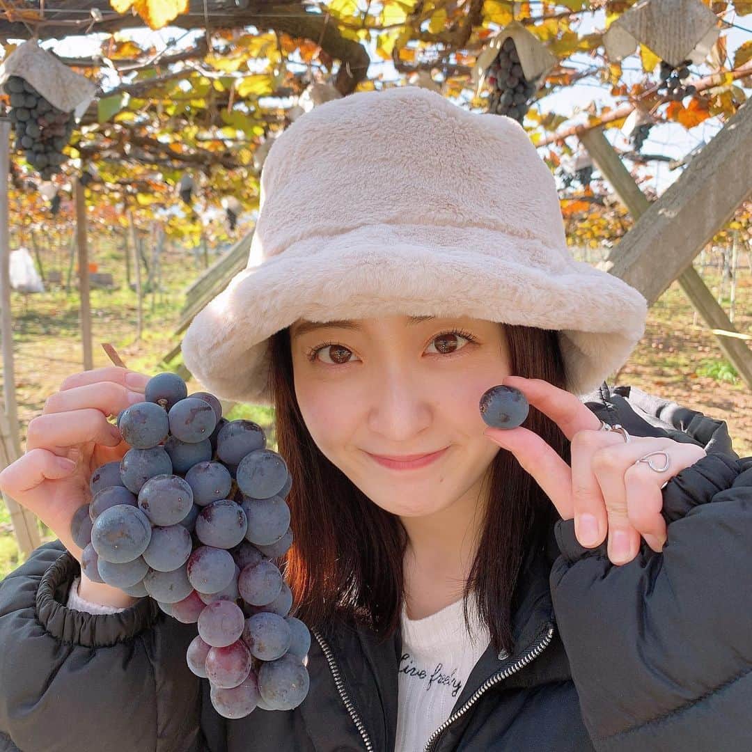 白井真緒のインスタグラム：「🍇﻿ ﻿ 時差すぎる投稿。ぶどう美味しかった〜﻿ぶどうジュースとワイン買いました😋 ﻿ ﻿ #ぶどう狩り#ぶどう #山梨県 #山梨観光 #女子旅 #果物狩り #もぐもぐタイム #バケハ #もこもこバケハ #バケハ #バケハコーデ #バケハ女子 #ダウンジャケット」
