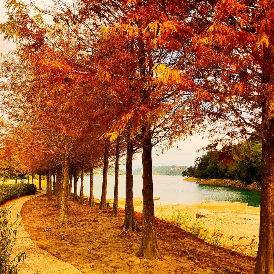 OPPOさんのインスタグラム写真 - (OPPOInstagram)「徵求擁有詩意的攝影詩人-風景攝影 水光瀲灩晴方好，看著秋天美麗的湖光水色 總是讓人詩意大發😇 現代人或許少寫詩，但少不了的是攝影 我們用另一種方式來記錄此情此景 記住幾個要素：水、倒影，或橘色 讓我們把美麗如畫的秋色放入記憶體中 公開發文標記 #水月秋影  IG上與我分享下列幾種秋天美照👇  湖光倒影🚤 擁有繽紛色彩的湖邊 如鏡子般的倒映在湖面上 把這面鏡子帶回家吧  日月成雙🌙 明月幾時有，夕陽不惆悵 成雙成對的夕陽跟月亮去哪裡找? 往水邊去拍就對了  橘艷秋色🍁 橘色，屬於秋天的色彩 極致的橘，更是屬於秋天的喧囂 把滿山滿谷的橘色顏料，塗滿畫面吧  到IG上分享照片 就有機會得到 OPPO 限量好禮💡 會跟 O 編一同參加品牌 VIP 活動  #shotonOPPO Photo credit @tienjen #黃天仁」12月2日 19時27分 - oppo_taiwan