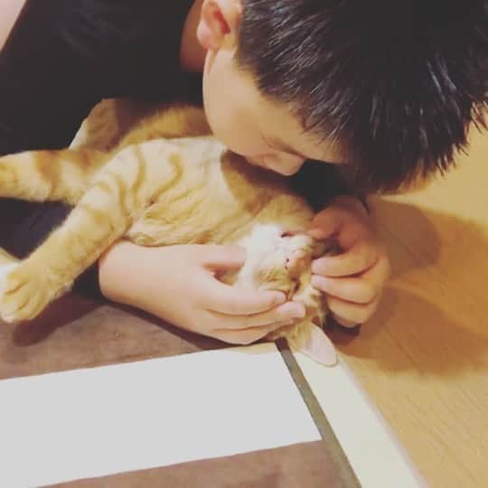 のインスタグラム：「. 歯科検診されてる🐈💦 . . . #ちゃとら男子部  #ちゃとら  #歯科検診 #異常あり　笑」