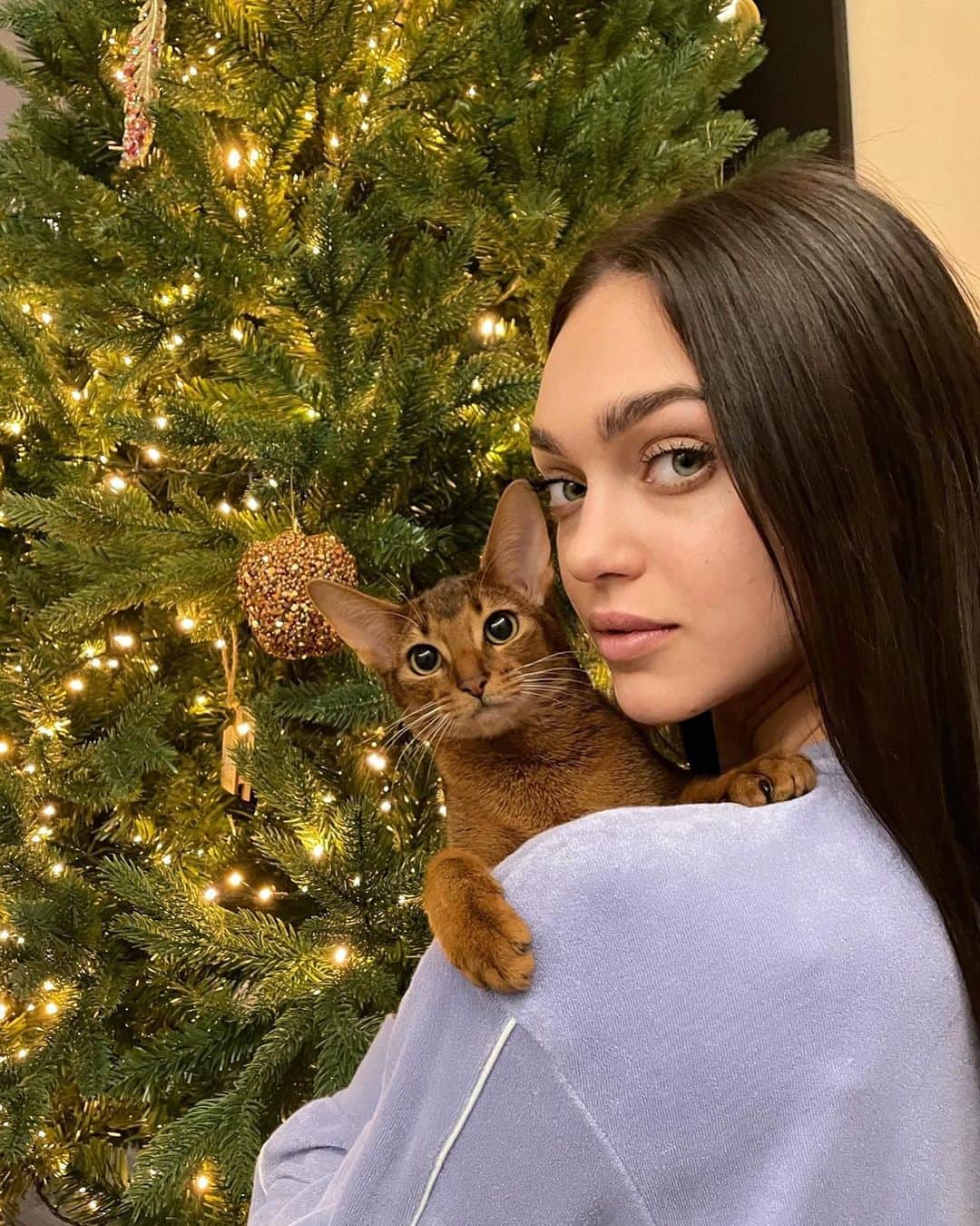Zhenya Katavaのインスタグラム：「Magic atmosphere at home 🎄✨」