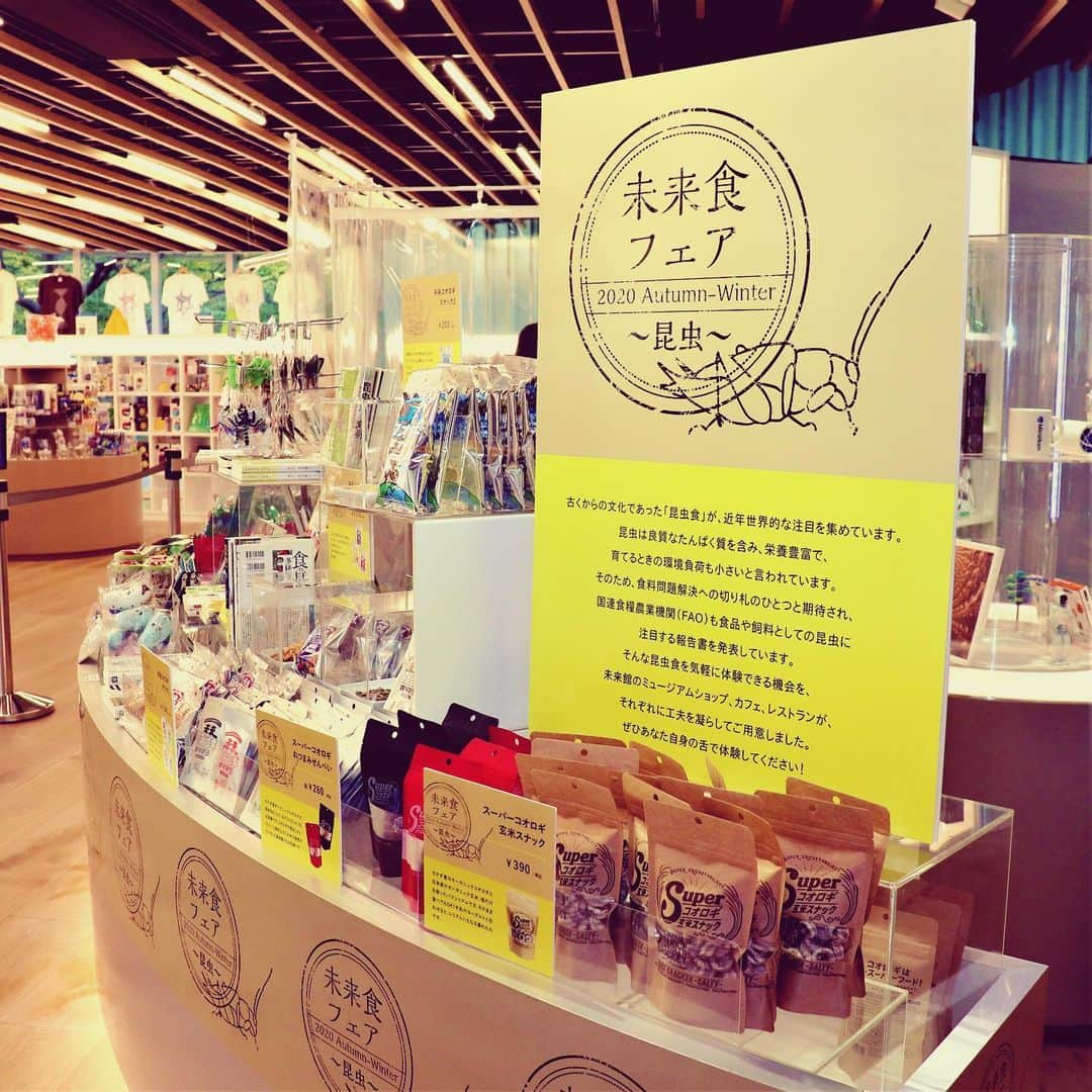 Miraikan 日本科学未来館さんのインスタグラム写真 Miraikan 日本科学未来館instagram ミュージアムショップ カフェ レストランで合同開催している 未来食フェア 昆虫 では ローストされたコオロギのおつまみやシルクワームカレーなど 様々な昆虫食を体験