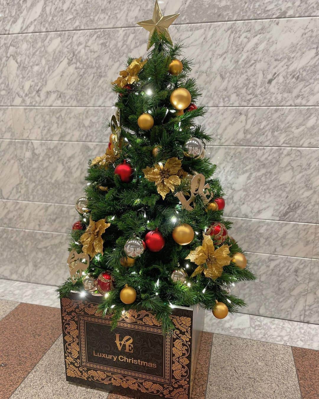 島崎友莉亜さんのインスタグラム写真 - (島崎友莉亜Instagram)「. インスタただいまです🎄🎅🏻 今年もトナカイになりたいッッ  #クリスマスツリー #クリスマス#chineseantiquefurniture」12月2日 20時10分 - yuria_shimazaki_uug2ki