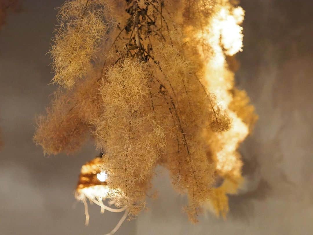 HeyCoffeeのグルメインスタ