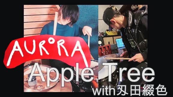 やおたくやのインスタグラム：「刄田さんフッ軽すぎありがたや〜  AURORA  Apple Tree-Drum Cover  プロフィールから飛べます  Drum  矢尾拓也-Takuya Yao- Drum&Percussion 刄田綴色-Toshiki Hata-(TOKYOincidents)  styling tumblr https://instagram.com/tumblr_usedclothing?igshid=48cgmc76be7u  #Aurora #Drumcover #東京事変#drumsolo#we_love_drums #spiritofthedrummer #drumsdaily #drumset#drumfill#dramfam#drumsharing #groove#beat##instadrums#drumporn #drumpractice #drumlessons #drumeo#drumuniversity #drummer  #drum#drumvideo #drumcovers #canopusdrums #矢尾拓也#叩いてみた  @auroramusic」