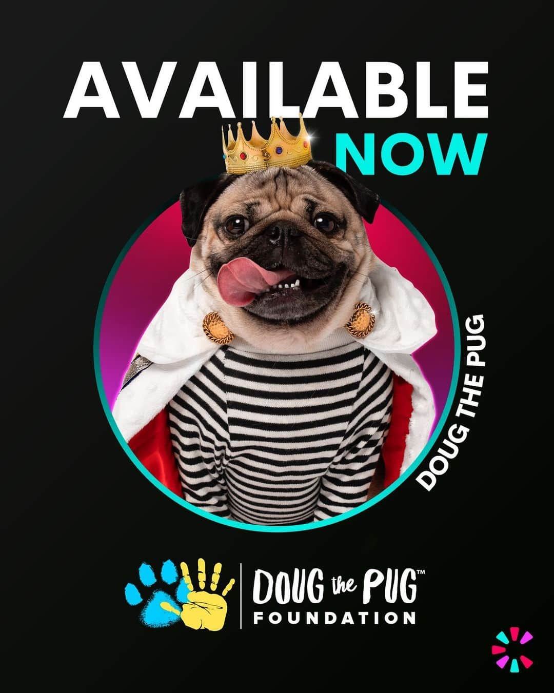 itsdougthepugさんのインスタグラム写真 - (itsdougthepugInstagram)「“U asked and u shall receive” -Doug • U can now get personalized video messages from me on @cameo, and 100% of the funds will go to @dougthepugfoundation!! Makes the perfect holiday gift. Limited amount available!」12月3日 6時29分 - itsdougthepug