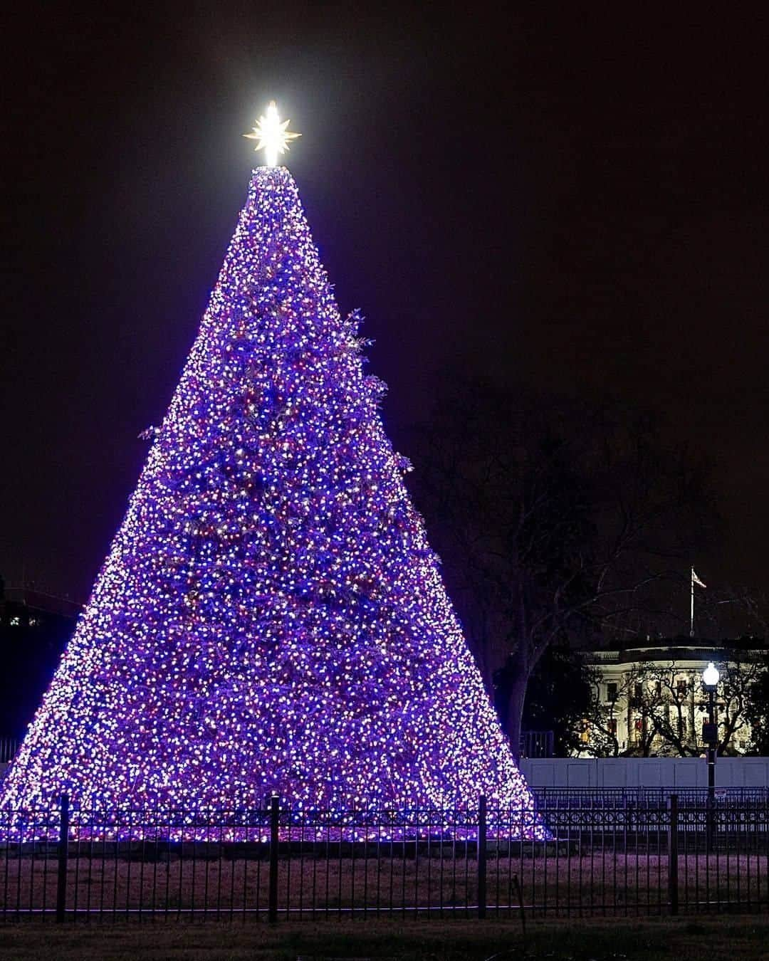 Primer Impactoさんのインスタグラム写真 - (Primer ImpactoInstagram)「🎄 Ya está encendido el tradicional árbol de #Navidad cerca de la Casa Blanca.  Este año, debido a la pandemia, no hubo una ceremonia pública.  El evento privado se realizó el 30 de noviembre y fue encabezado por el presidente Donald Trump y su familia, el cual fue grabado y cuyo video se podrá ver en la web thenationaltree.org a partir del 3 de diciembre desde las 5pm ET.  📸: Tasos Katopodis/Getty Images y Michael Reynolds/ EFE/EPA.」12月3日 6時33分 - primerimpacto