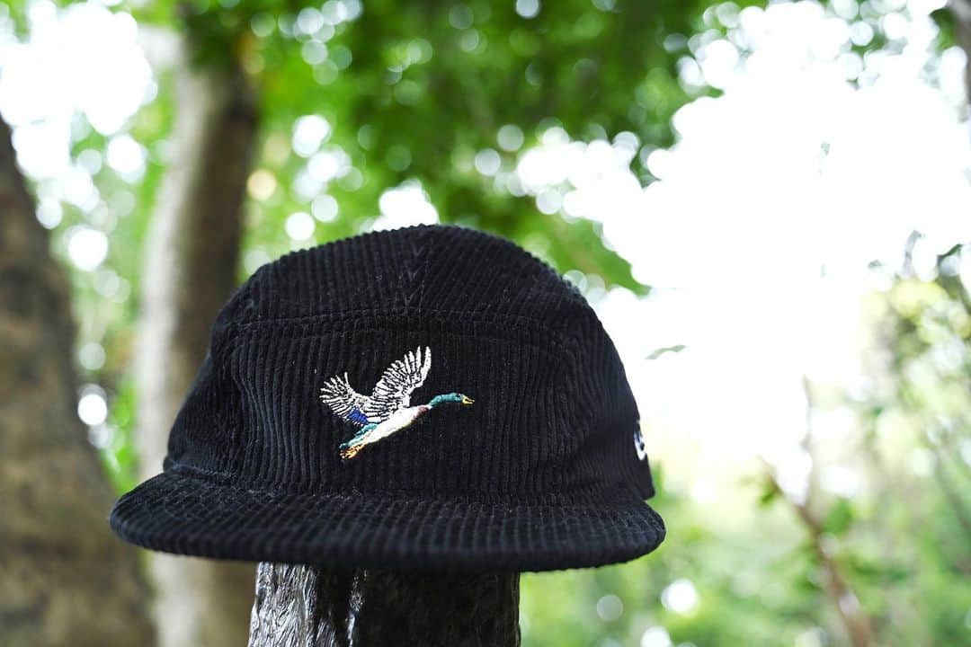 New Era Japan オフィシャル Instagram アカウントのインスタグラム