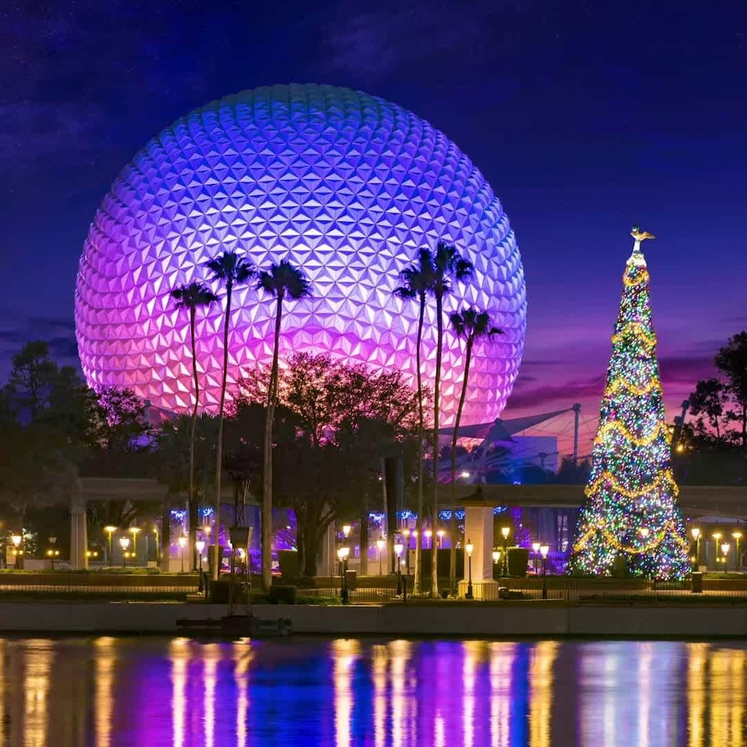 Walt Disney Worldのインスタグラム：「You and your kin will love this bright sight! Check Park hours for nighttime experiences. #DisneyMagicMoments🎄」