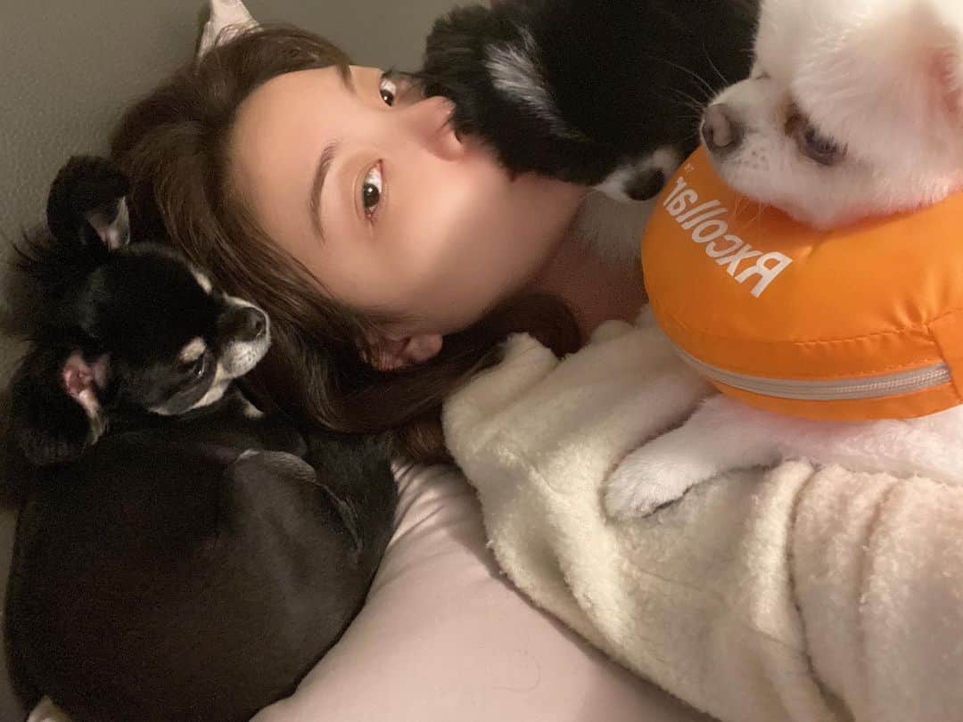 エイリーのインスタグラム：「행복」