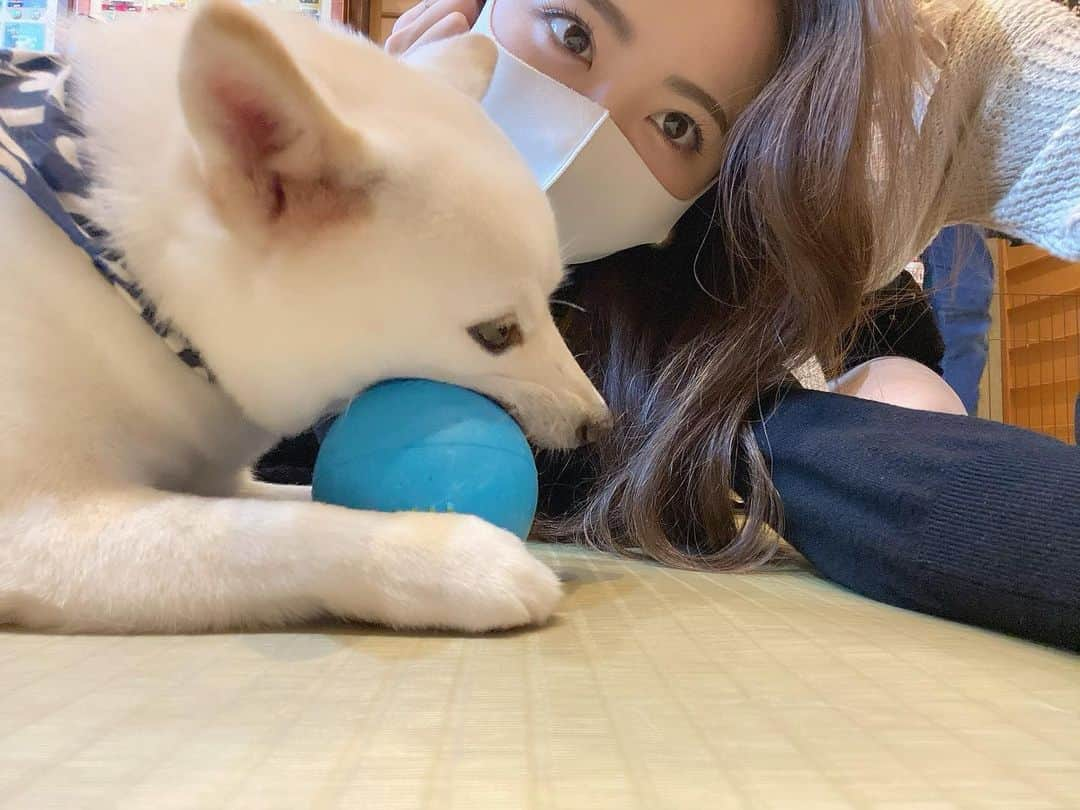 濵松里緒菜さんのインスタグラム写真 - (濵松里緒菜Instagram)「前に🐶カフェ行った時の☺️  #dogcafe #dogs #cafe #カフェ #原宿 #原宿カフェ #豆柴カフェ  #過去pic #🐶💗」12月2日 22時44分 - riona_hamamatsu