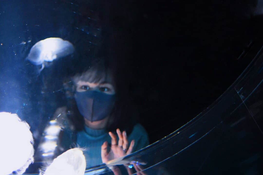 宮澤じゅりのインスタグラム：「・ ・ 海月。 ホントにピッタリの名前。 ・ ・  ・ 海遊館(@kaiyukan_japan ) 新エリア ・ 海月銀河 ・ 海って、宇宙。 ・ ・」