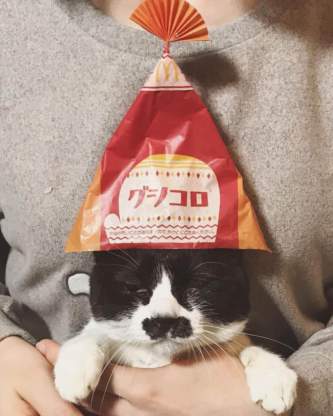 もじゃころさんのインスタグラム写真 - (もじゃころInstagram)「ついにキマシタ！！ 年に一度の大イベント！！ グラコロ発売日記念🍔 グラコロとグシコロの夢のコラボ第5段です😂  今回は手袋のデザインでしたがニット帽風にしてみました✨ 今日もいい顔いただきました🤣💕  2016年から（勝手に）やりはじめたコラボもついに5年目に突入！ 来年あたりグラコロのCMくるんじゃなかろうか…（ソワソワ） 高橋一生の膝の上出演…（ソワソワ）  それにしても五月人形感出すぎてる😂  #チョッチュ具志コロペッペ  #あいちゃんの膝の上  #水曜日の悪夢  #グラコロ #マクドナルド🍔🍟 #mcdonalds🍔🍟」12月2日 23時14分 - mojyacoro96