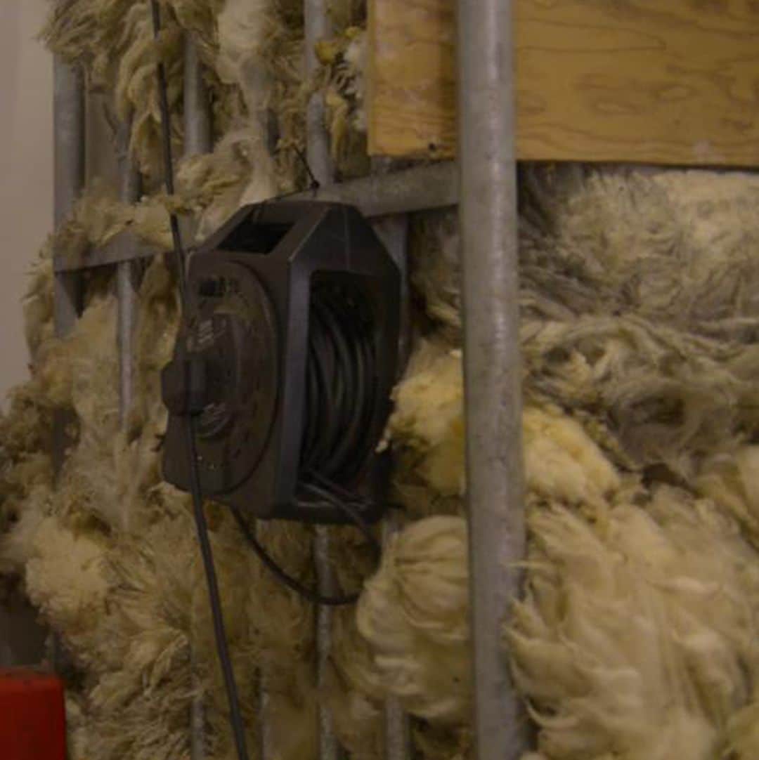 ドーメルさんのインスタグラム写真 - (ドーメルInstagram)「Once the wool fibre is collected, it is sorted and only the best fibres are selected to process to the manufactures.⁣ .⁣ .⁣ .⁣ #production #productionprocess #rawwool #wool #luxuryfibre」12月2日 23時06分 - dormeuil1842