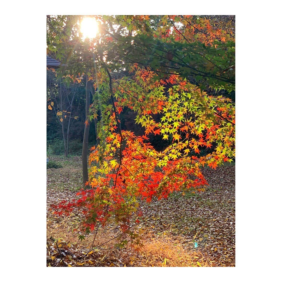 杜野まこのインスタグラム