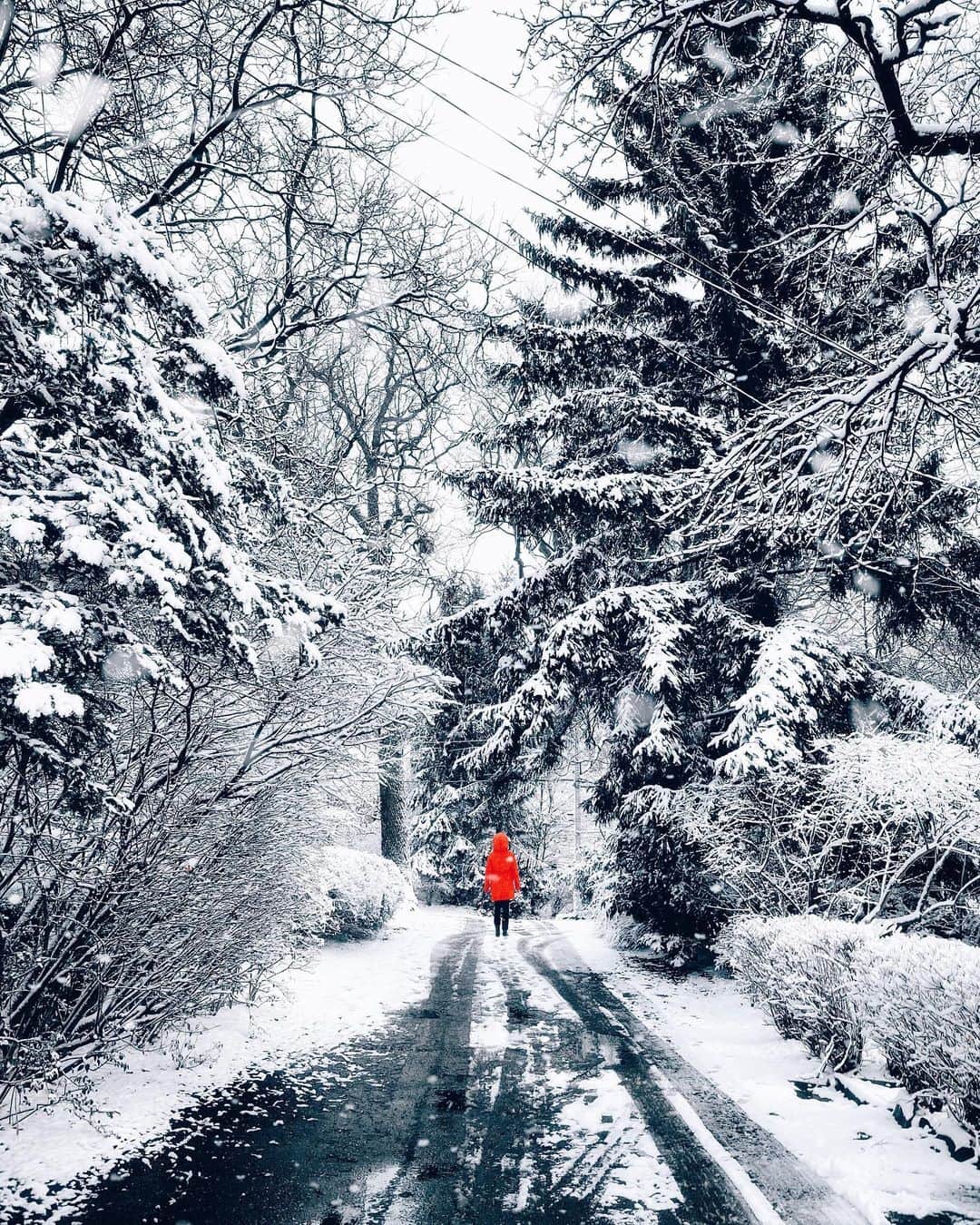 kaelのインスタグラム：「A beautiful walk in the neighbourhood」