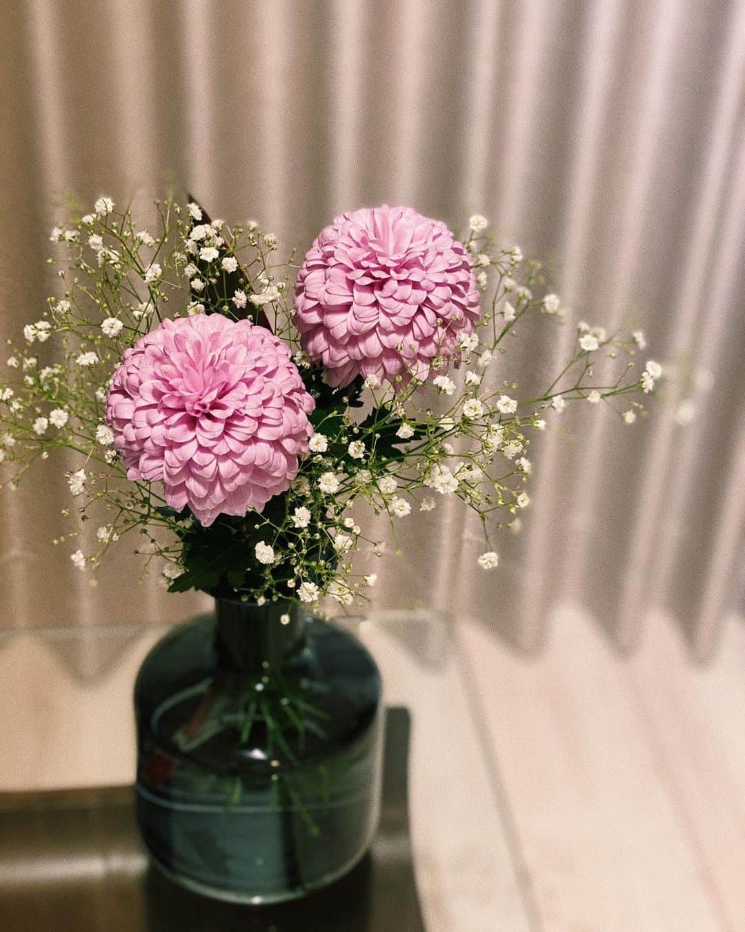 大伴理奈さんのインスタグラム写真 - (大伴理奈Instagram)「_ 名前から可愛いピンポンマム☺︎  "高貴" "君を愛す" "私を信じて"  花言葉まで素敵なのね〜  おやすみなさい🌙  #fleurs」12月3日 0時40分 - rina_otomo