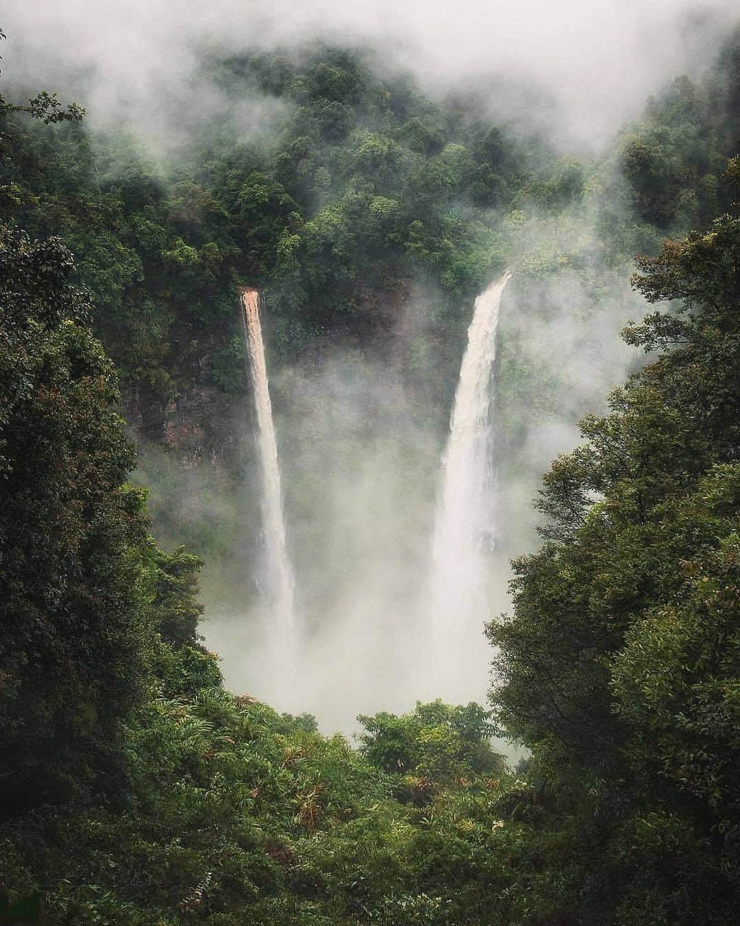 Discover Earthさんのインスタグラム写真 - (Discover EarthInstagram)「Laos is a treasure trove of natural and architectural wonders. With a little patience and some time you can see incredible man-made and natural wonders. Here is a list of the top 5 natural wonders to see and do in Laos ! 1. Tad Lo Tad Lo is 56 miles (90 kilometers) away from the southern town of Pakse. Soak in the visual and aural splendor of the falls or take a dip and cool off from heat. Three cascades make up the falls: Tad Hang, Tad Lo itself and Tad Suong.  2.Swim in the Mekong at 4000 Islands Don Det has a beach at its northern tip that doubles as a ferry landing. You can also take a dip in the Mekong, the largest river in Southeast Asia, on either of the two beaches on Don Khon–one by Liphi Falls and one farther south.  3.Bokeo Gibbon Experience The Gibbon Experience is a once-in-a-lifetime adventure. Hike through the jungle of the most northwestern province of Laos and sleep in the treetops in the world’s tallest tree houses 30-40 meters high, which are accessible by zip line. Listen to and look for the elusive and endangered gibbons in the forest.   4.Tube or Kayak the Nam Song Vang Vieng is on the banks of the Nam Song, and no trip would be complete without experiencing the river first hand.   5.Tad Ka, Xieng Khouang Province Near Ban Tajok is an impressive waterfall with 30 tiers and a well-kept adventurous jungle trail that crosses back and forth through the water. If you arrive on motorbikes, drive to the right at the “waterfall” sign at the fork in the road to park at the top of the trail, and walk or hitchhike down the steep dirt road to the basin. The basin has picnic areas, bathroom and a small shop but is not accessible without four-wheel drive, especially after rain. This off the beaten path adventure gives Kuang Si a run for its money in terms of spectacular views, amazing hikes and the added bonus of no tourists in sight.  🇱🇦 #discoverLaos with @storyofsage  . . . . .  #laos ​#luangpraban ​#vangvien  #라오스  #vientiane  #southeastasia  #waterfall  #waterfalls  #falls  #hiking  #river  #water  #滝」12月3日 1時00分 - discoverearth