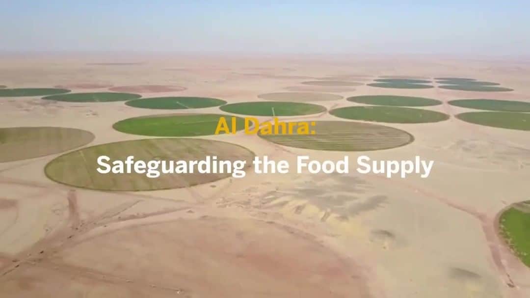 SAPのインスタグラム：「🌾 @aldahraholding is promoting food security and farming sustainability with SAP Ariba Discovery. Explore SAP solutions that can help your business get back to best: backtobest.com」