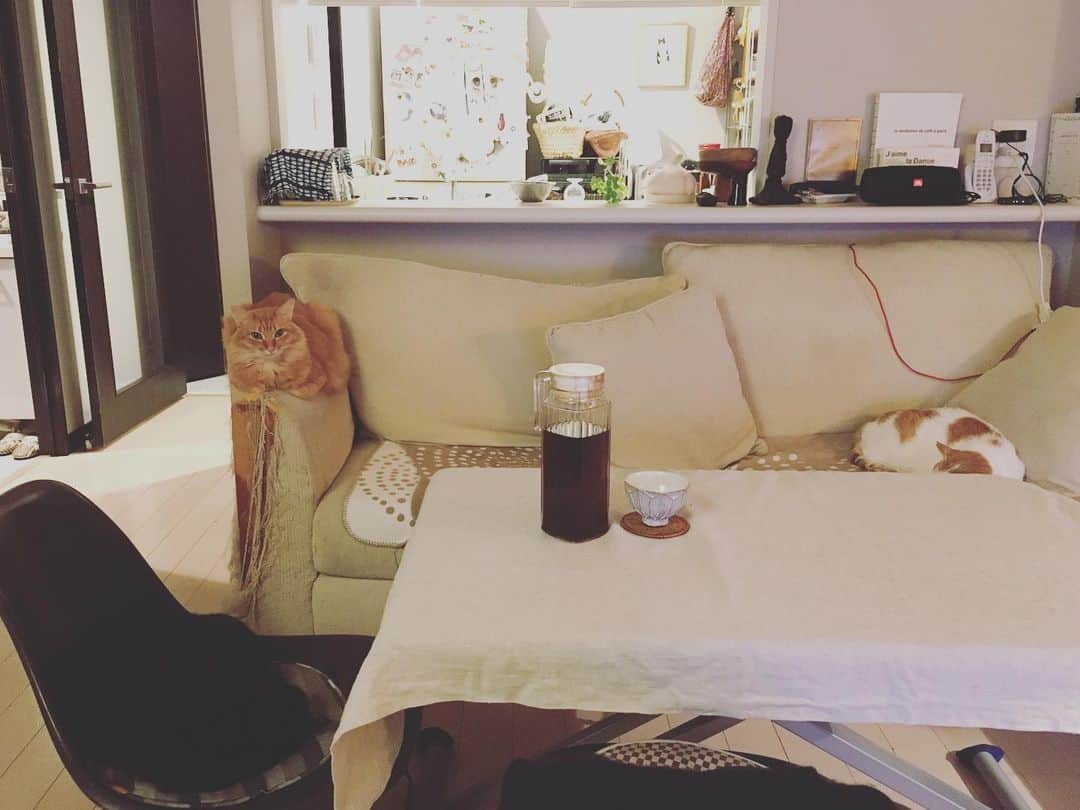 猫沢エミのインスタグラム