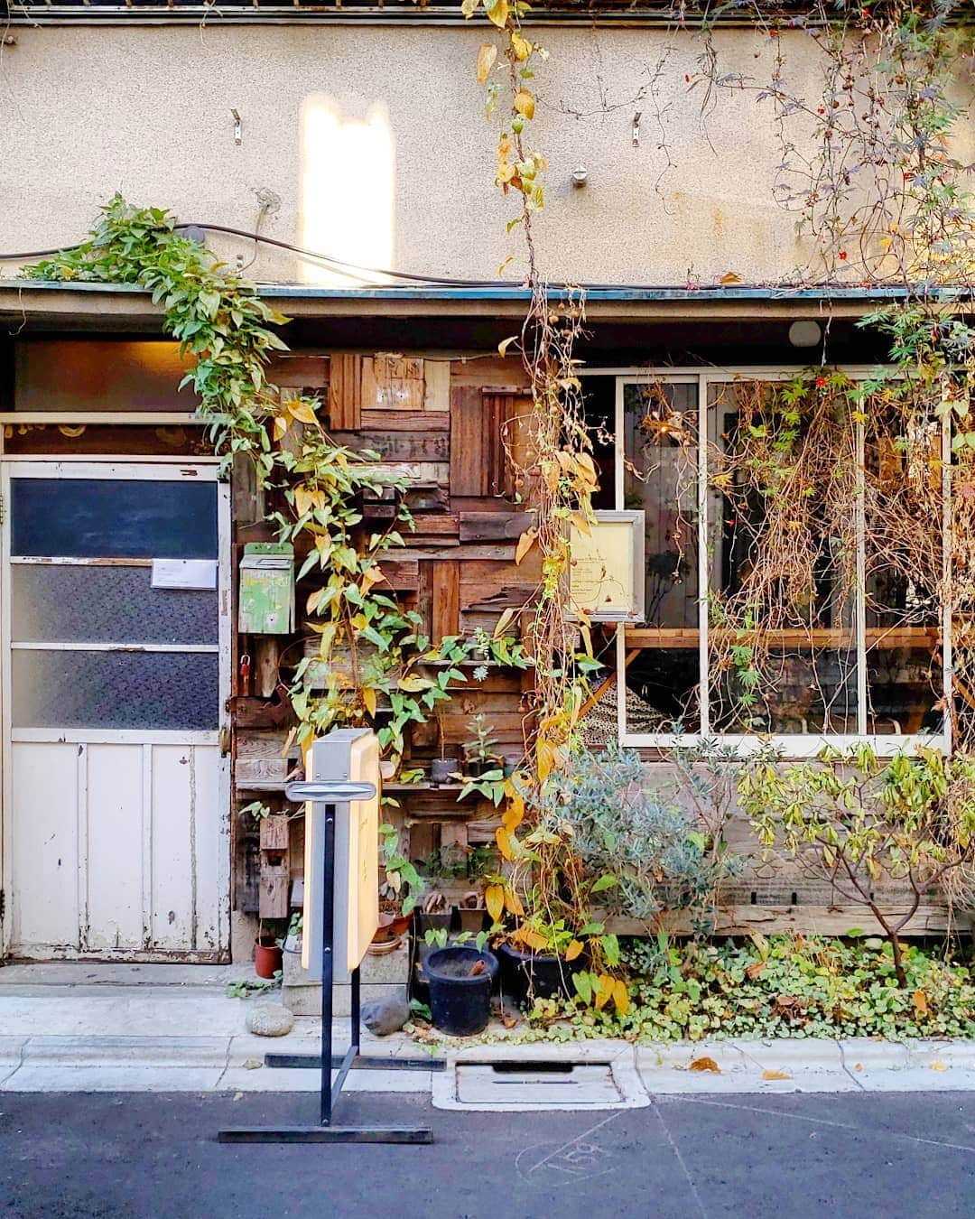 CAFE-STAGRAMMERのグルメインスタ