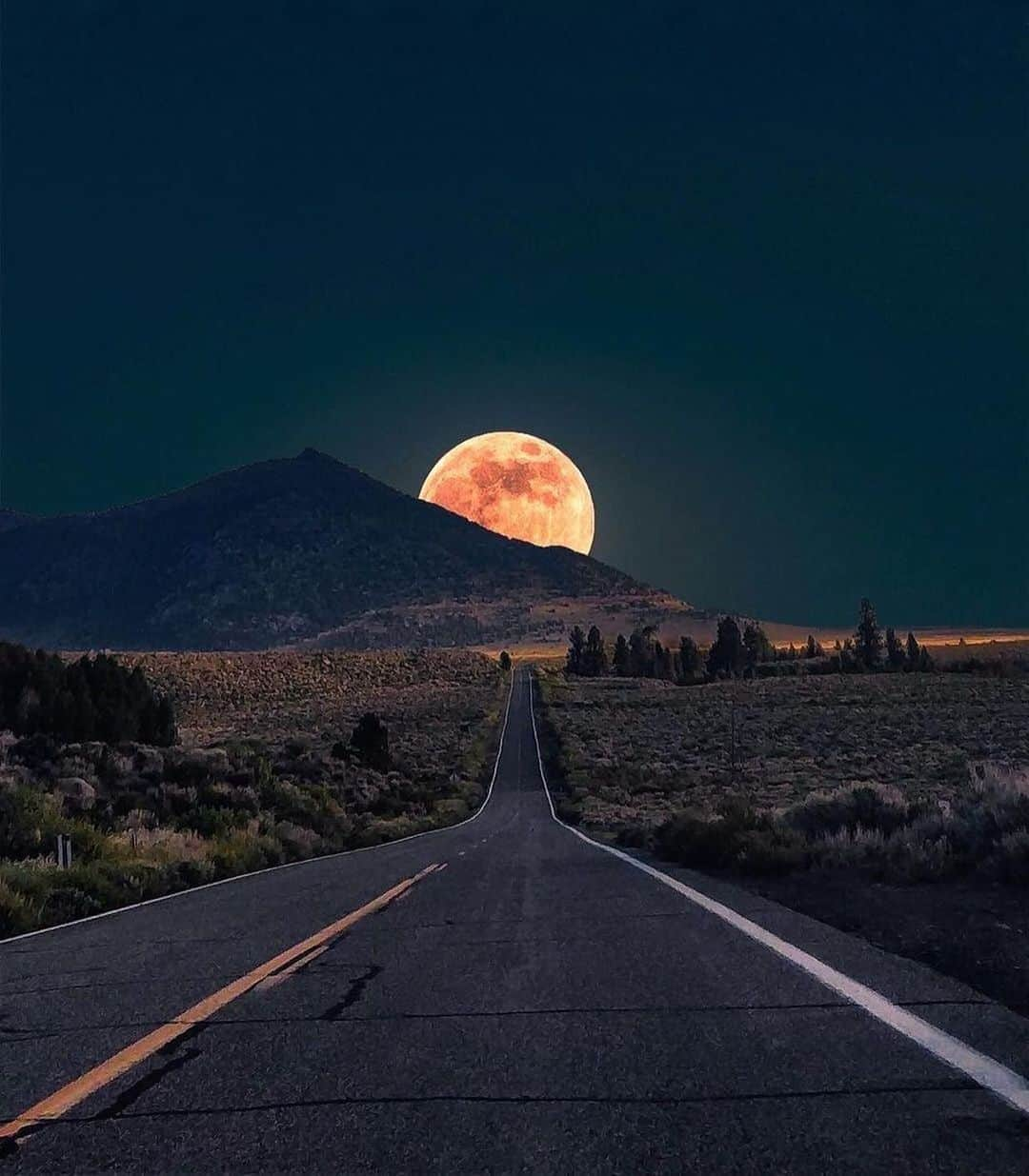 Canon Photographyさんのインスタグラム写真 - (Canon PhotographyInstagram)「Moonrise in the Sierra Nevada 🌙  Photography // @borntraveller_1 Curated by @steffeneisenacher  #moonrise #fullmoon #sierranevada #california #astrophotography」12月3日 2時09分 - cpcollectives