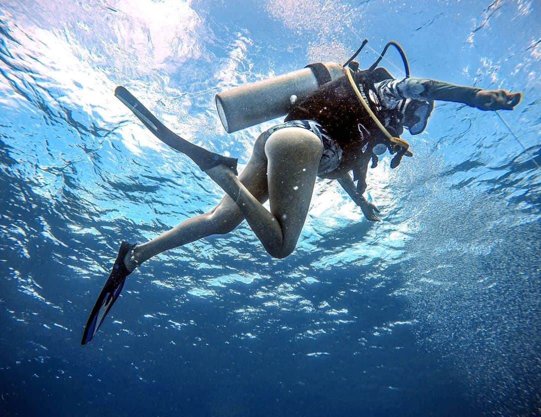 アリサ・ラモスのインスタグラム：「Anndd I'm back at it! Despite being traumatized from diving in a Cenote years ago, I planned a diving weekend in Cozumel because they have WAY better reefs than the ones near mainland, and some amazing wild life right now, like eagle rays and massive turtles! . I also wanted to practice diving again to prepare for the most intense dive of my life...with apex predators. 😬 . If you're a nervous diver, need practice (or certification), or want a really professional dive company, I'd highly recommend going with @ScubaTonyCozumel ! You can simply tell them your concerns and they'll be sure to take you to shallow dives, and help you come up early if you need to!  . ALLSSOOO just gunna throw it out there that Cozumel is IDEAL to go to right now before the cruise ships come back! There weren't many tourists on the island, and it also felt extremely safe, unlike how it is in Playa 😒 . Full post itinerary coming soon as well as a dive weekend package I'm creating to help you experience everything I did last weekend! . Anyone want to guess the two massive sea creatures I saw this last week?? . . . . #scubadiving #scubadive #scubatony #girlsthatdive #cozumel #cozumeldiving #gltlove #beautifuldestinations #MyLifesATravelMovie」