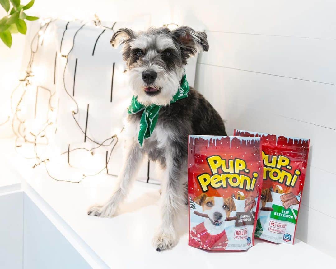 Remix the Dogさんのインスタグラム写真 - (Remix the DogInstagram)「#ad Holidays are finally here! Time for #TreatingMoments with all the @PupPeroni goodies found at Target. ☺」12月3日 2時15分 - remixthedog