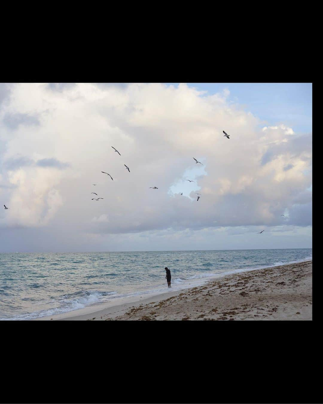 Calvin Kleinさんのインスタグラム写真 - (Calvin KleinInstagram)「Miami-based portrait photographer and new mom. Rose focuses on globalization, social politics and the Latin American experience.  @rorosiemarie captured @chrisacio in Coral Springs.   one future #ckone  See Stories for more about Rose.」12月3日 2時33分 - calvinklein