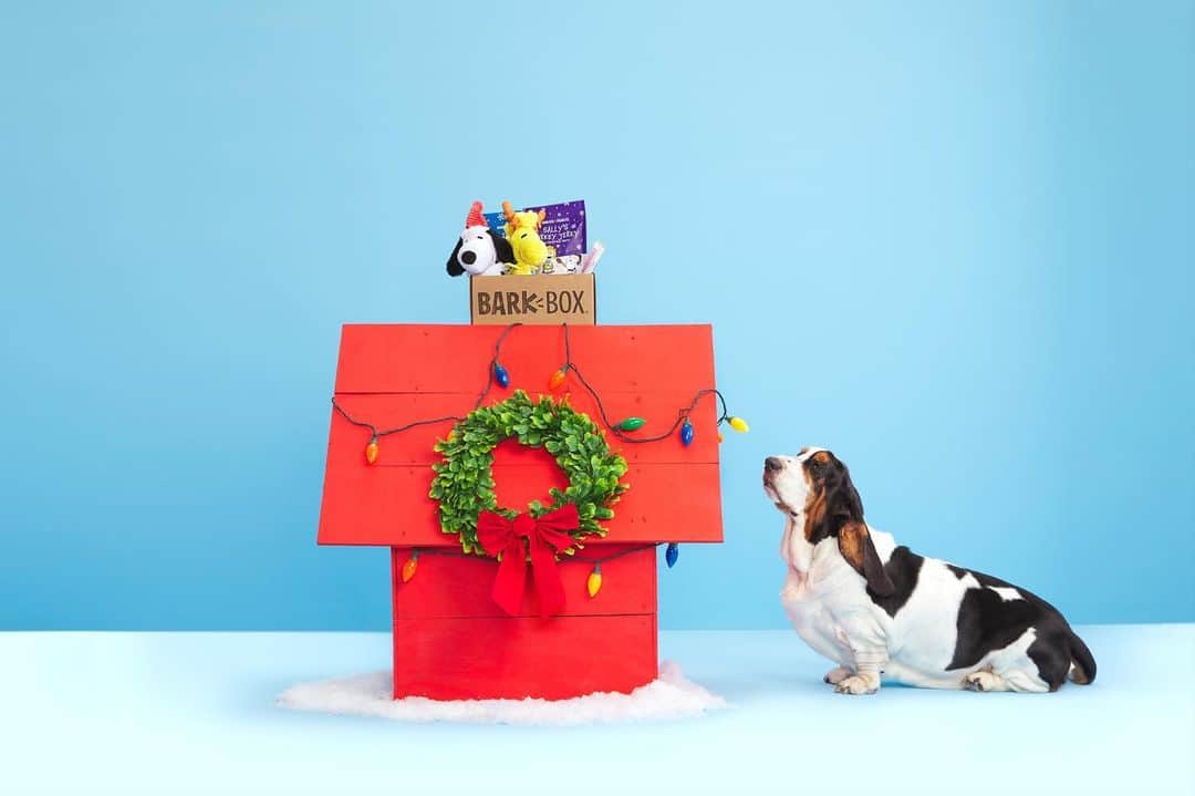 BarkBoxのインスタグラム：「GOOD GRIEF—IT’S A PEANUTS BOX! 🎄🎁☃️ Celebrate this holiday season with Snoopy, Woodstock, and the whole Peanuts gang! We’ve got a collection of Peanuts toys and goodies good enough to drop your blanket and make your dog do the Snoopy dance. Skate on over to the link in our bio to take home your own box of holiday memories. ⁠⠀ ⁠⠀ Current subscribers follow that same link to complete your collection!⁠⠀」