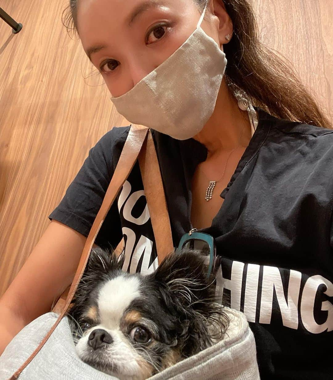 和央ようかさんのインスタグラム写真 - (和央ようかInstagram)「Shopping with my baby 🐶Dondon  Super cute Dondon🐶😊  どんどん🐶とお買い物😊 どんどん🐶が可愛すぎるからこの写真載せちゃいます😊💕  #takakoworldstylin🌎 #lifestyle #hawaii #dondon🐶#どんどん🐶 #可愛くて仕方ない #この表情好き#親バカ万歳#yokawao #和央ようか」12月3日 3時06分 - yokawao0215